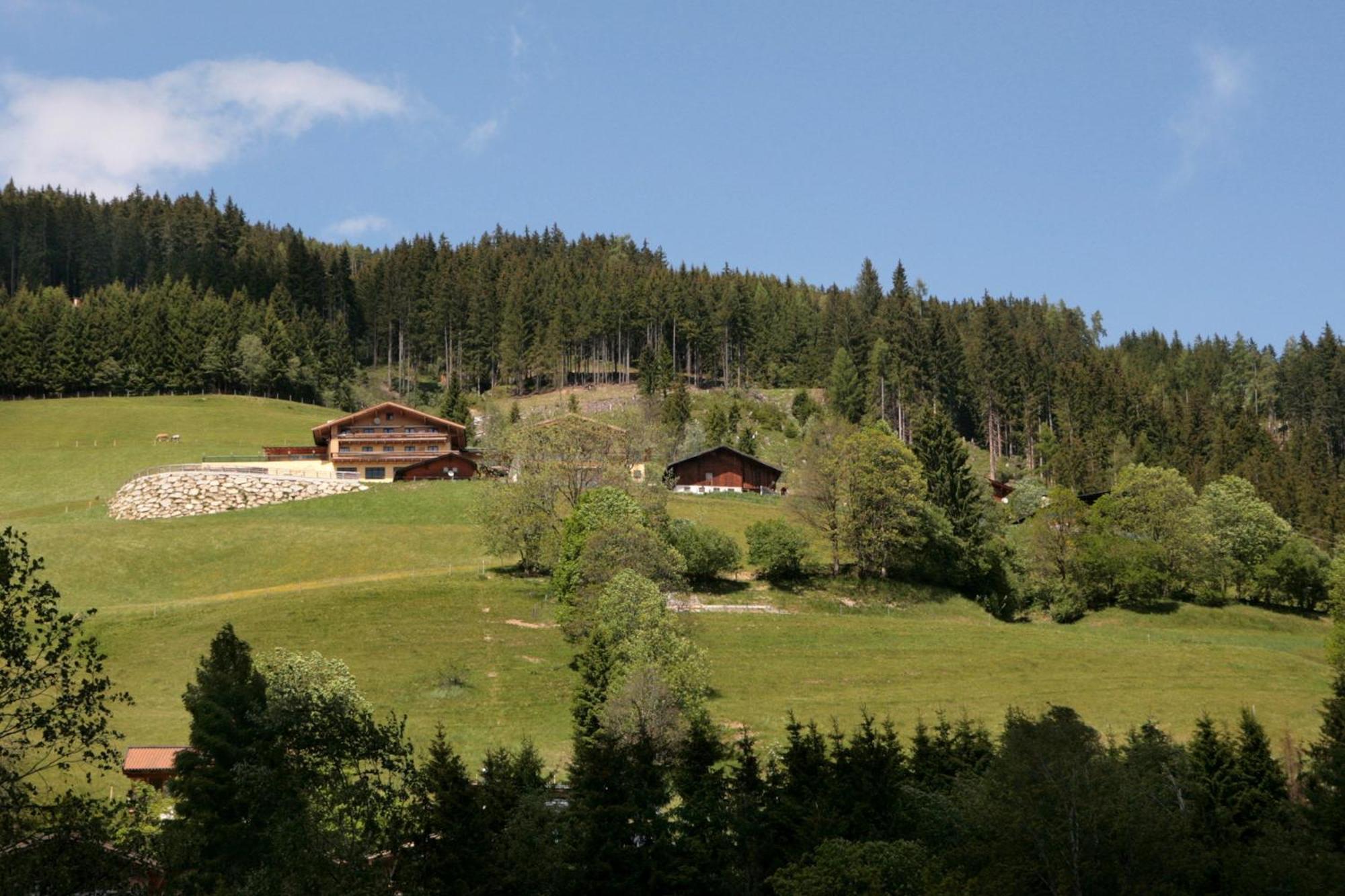 Der Wildbachhof - Contactless Check In Apartment Zell am See Exterior photo